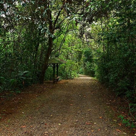 Tree Houses Hotel Costa Rica Florencia Екстер'єр фото