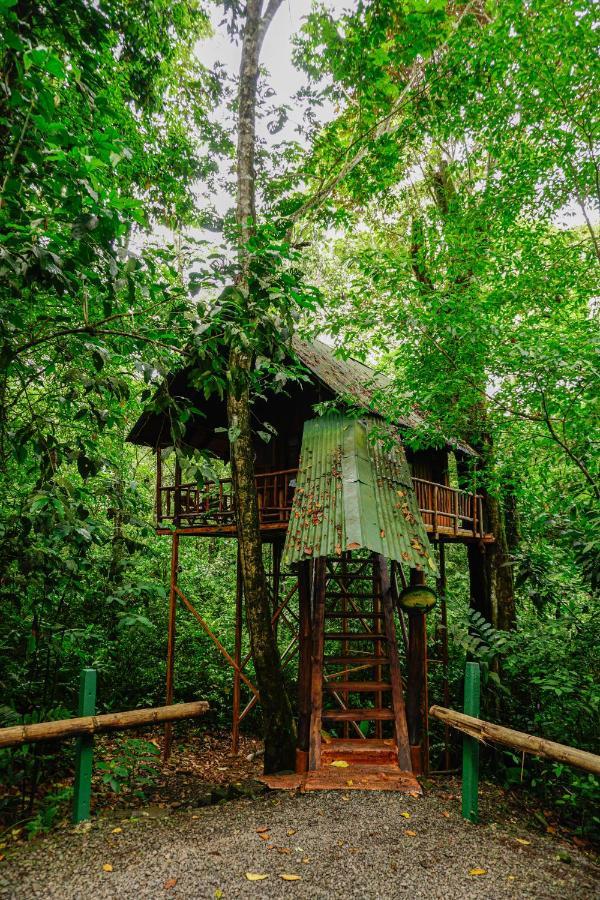 Tree Houses Hotel Costa Rica Florencia Екстер'єр фото