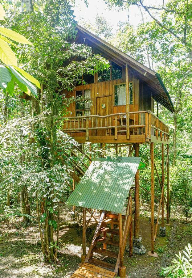Tree Houses Hotel Costa Rica Florencia Екстер'єр фото