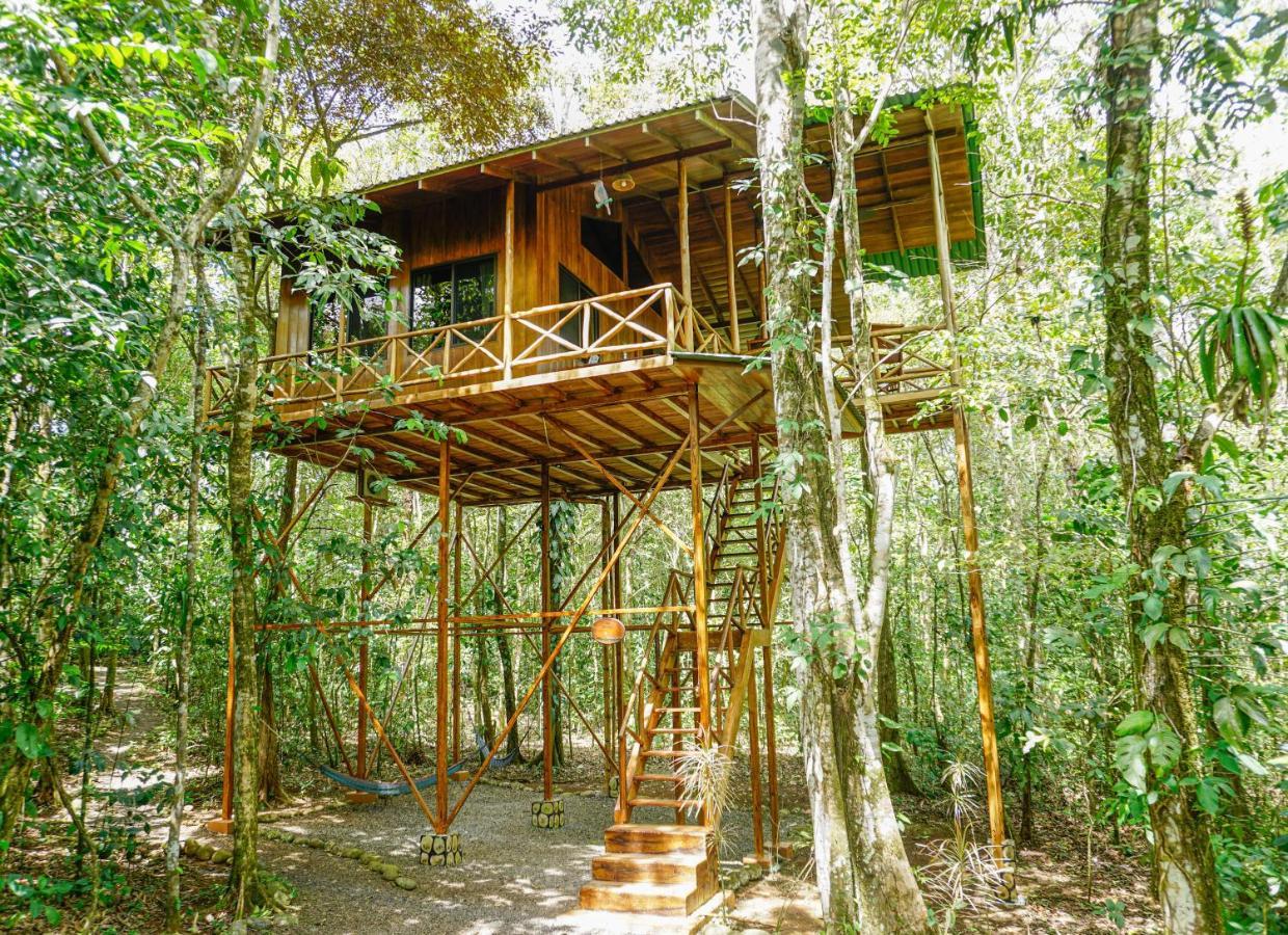 Tree Houses Hotel Costa Rica Florencia Екстер'єр фото