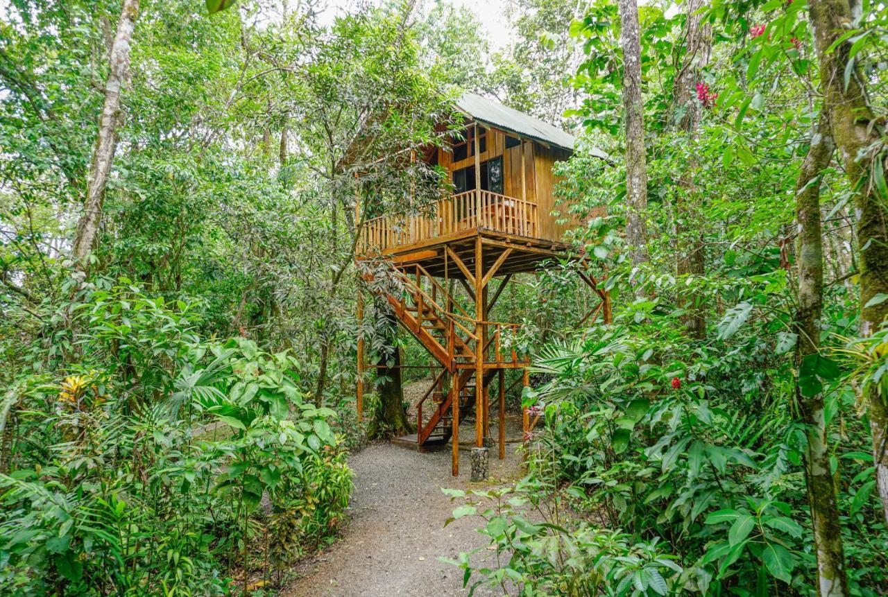 Tree Houses Hotel Costa Rica Florencia Екстер'єр фото