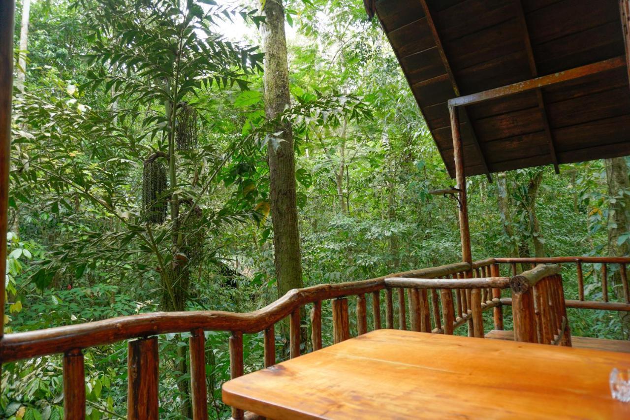 Tree Houses Hotel Costa Rica Florencia Екстер'єр фото