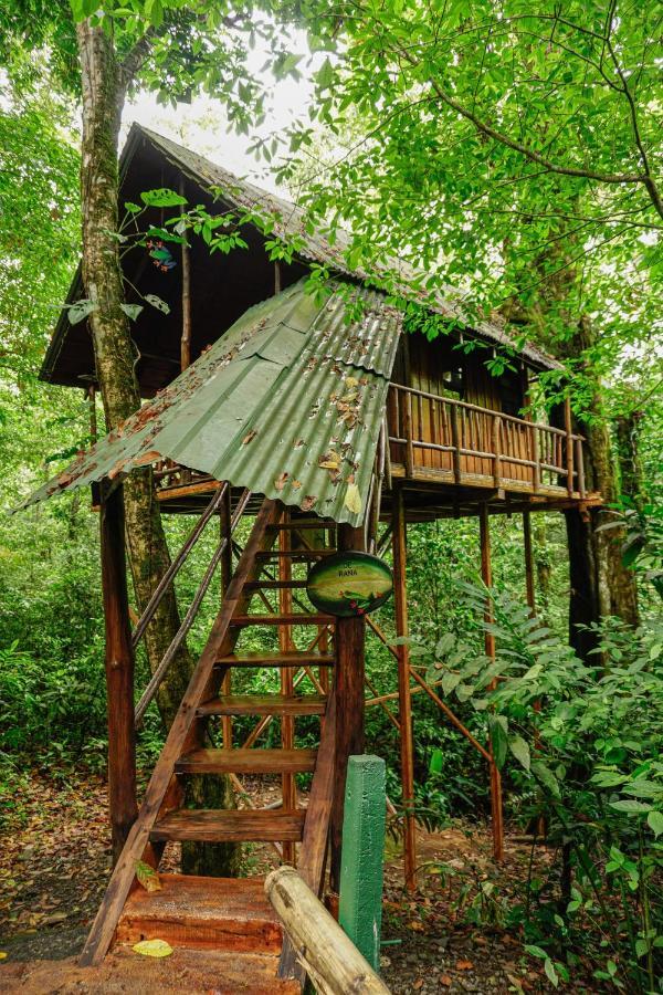 Tree Houses Hotel Costa Rica Florencia Екстер'єр фото