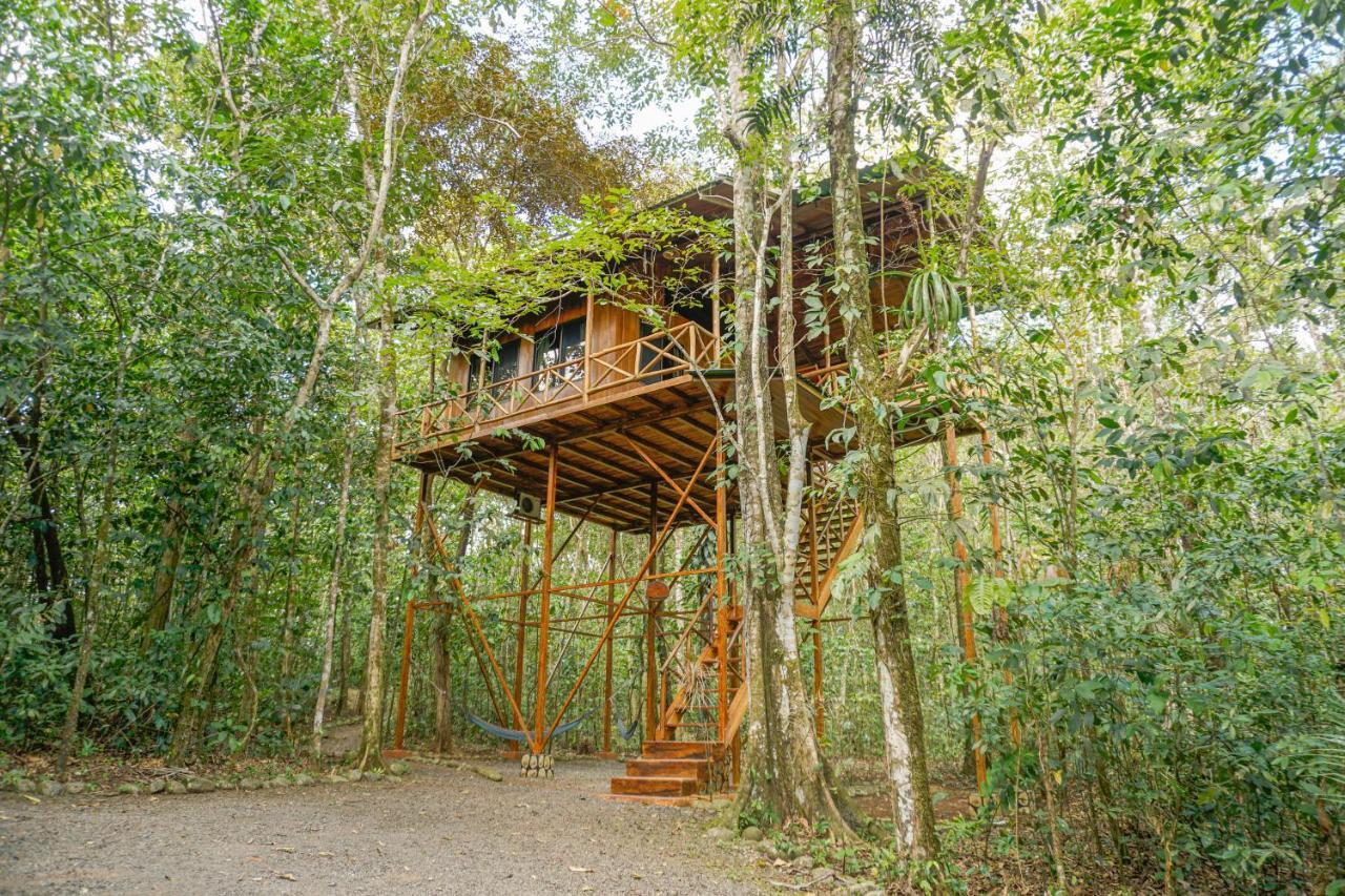 Tree Houses Hotel Costa Rica Florencia Екстер'єр фото