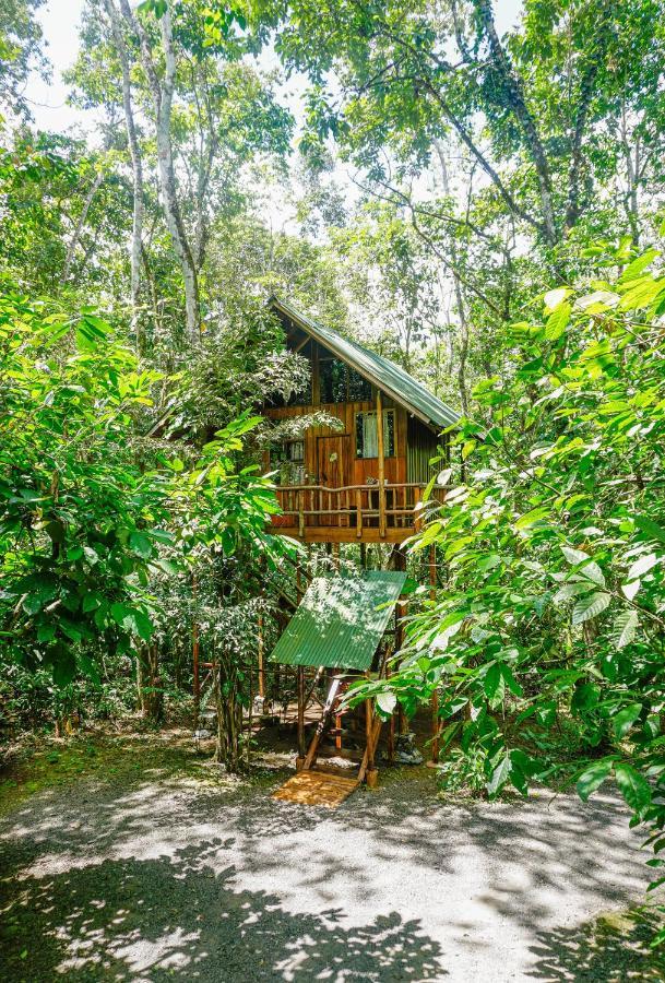 Tree Houses Hotel Costa Rica Florencia Екстер'єр фото