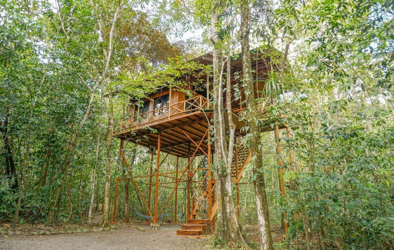 Tree Houses Hotel Costa Rica Florencia Екстер'єр фото
