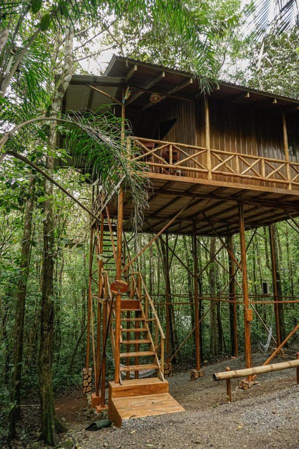 Tree Houses Hotel Costa Rica Florencia Екстер'єр фото