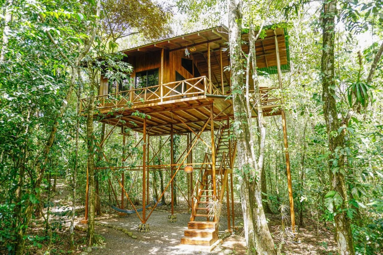 Tree Houses Hotel Costa Rica Florencia Екстер'єр фото