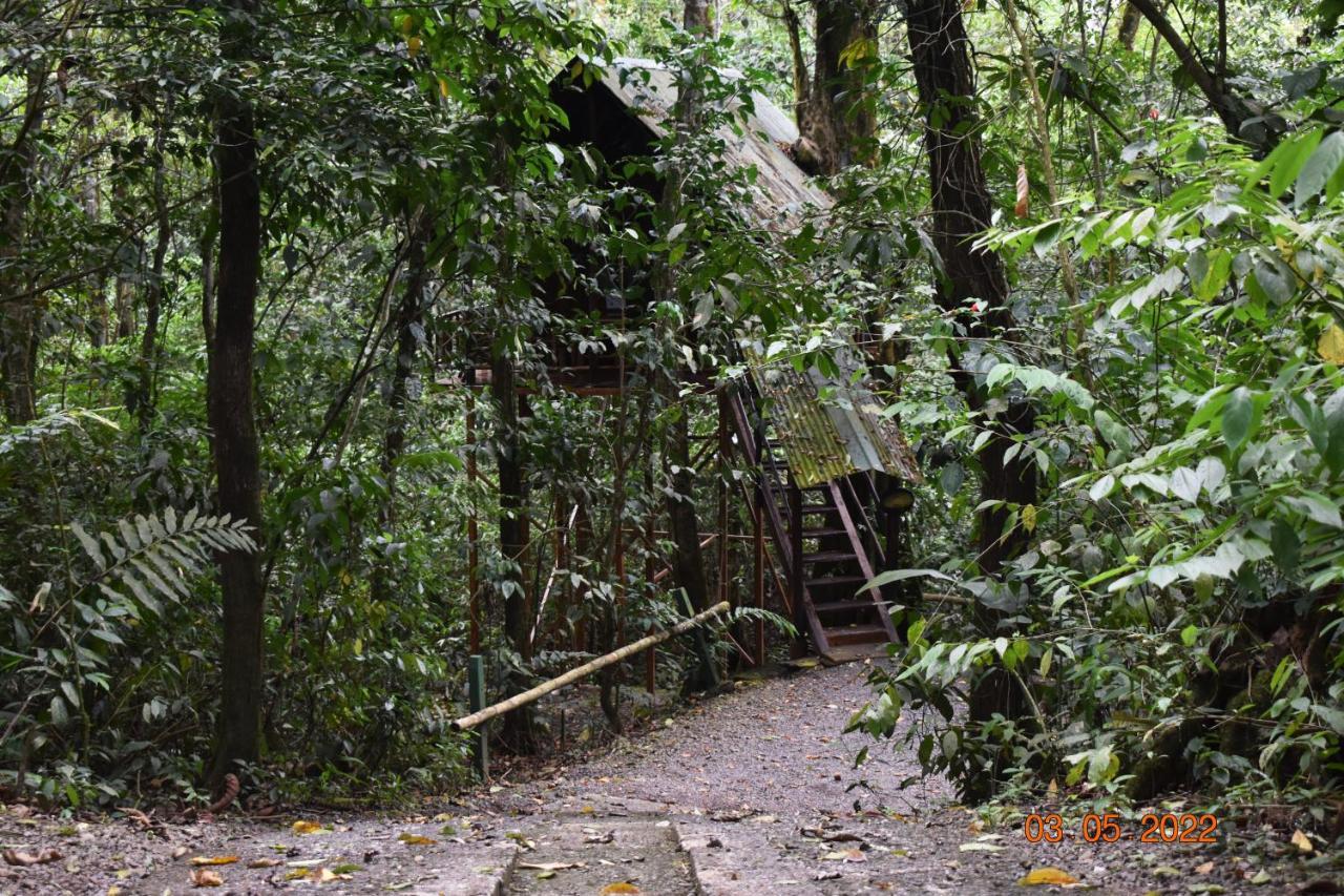 Tree Houses Hotel Costa Rica Florencia Екстер'єр фото