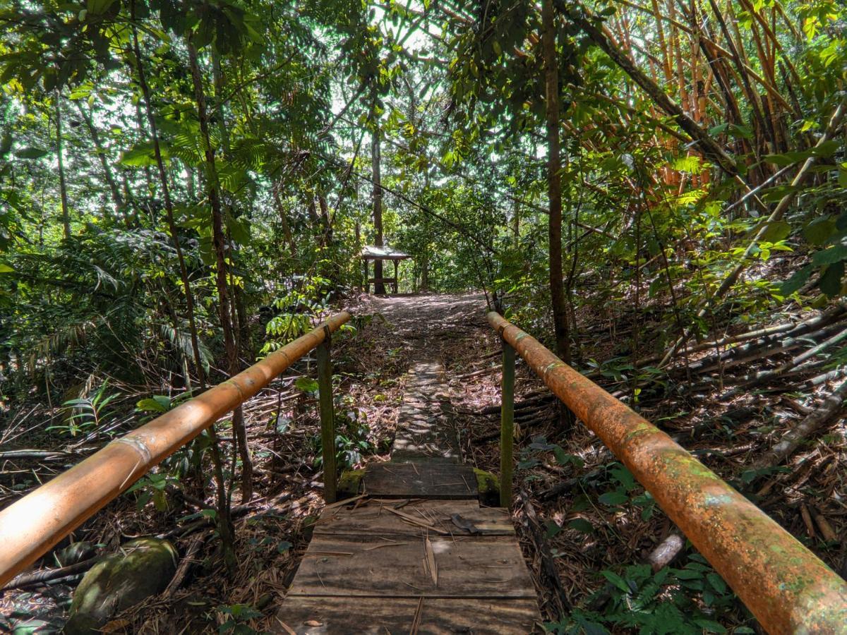 Tree Houses Hotel Costa Rica Florencia Екстер'єр фото