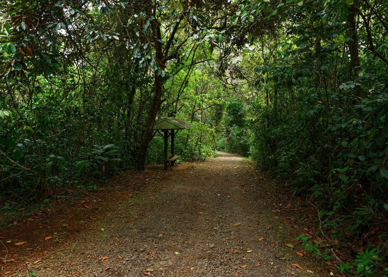 Tree Houses Hotel Costa Rica Florencia Екстер'єр фото