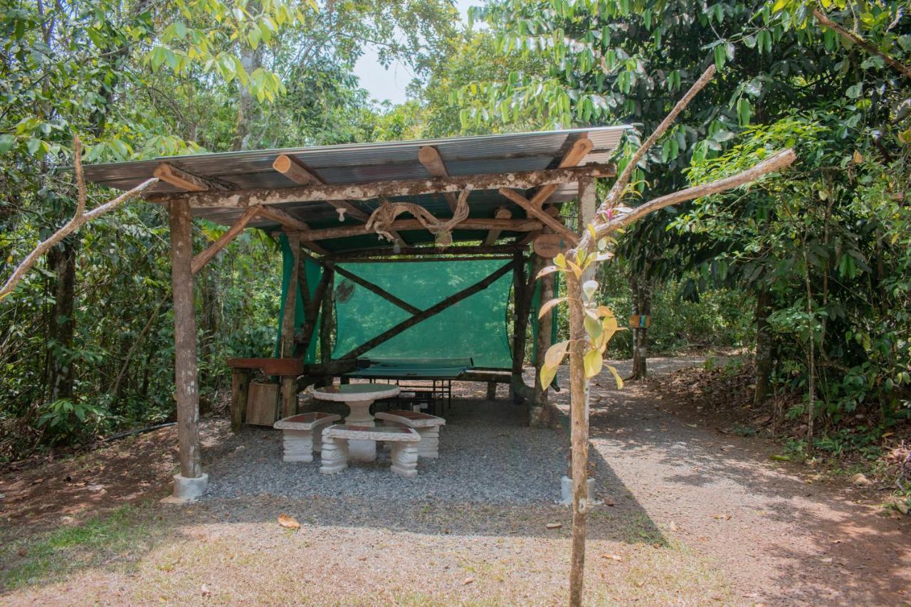 Tree Houses Hotel Costa Rica Florencia Екстер'єр фото